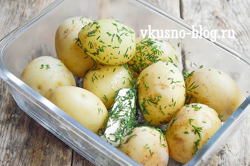 Молодая картошка как вкусно приготовить