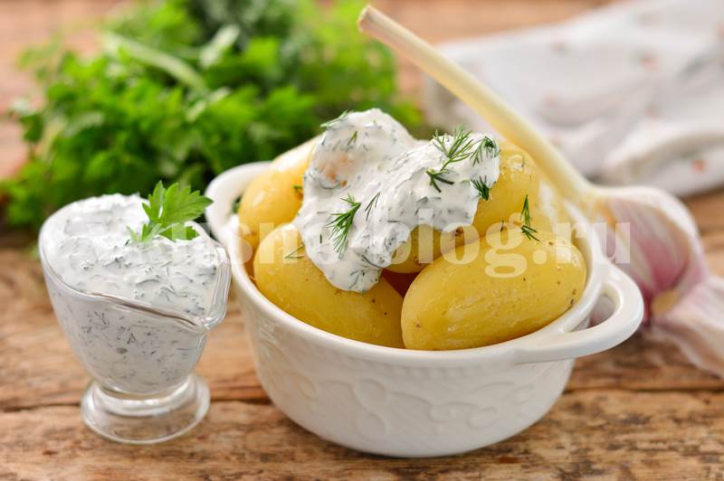 Молодая картошка в сметанном соусе рецепт